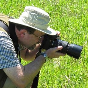 Wildlife photographer and enthusiast. Life-long birder. Full-time Butterfly Conservation volunteer! Butterfly Recorder for Warwickshire.