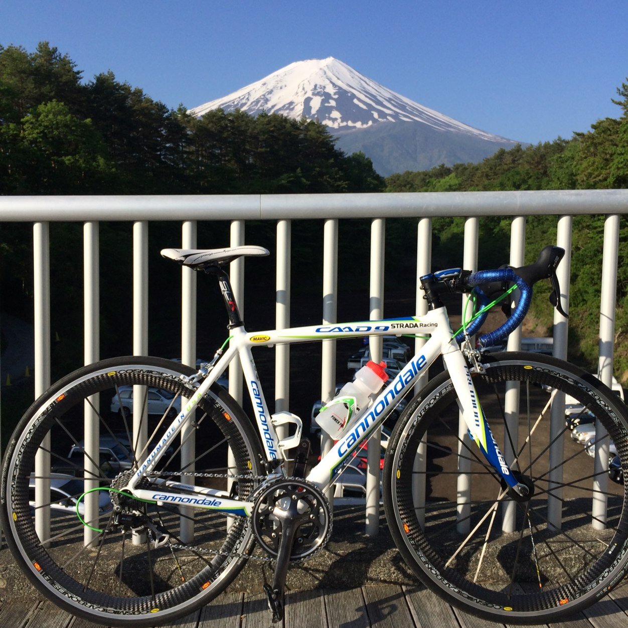 oshitani036's profile picture. 