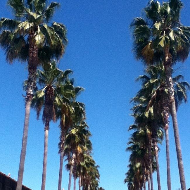 Defjams's profile picture. 