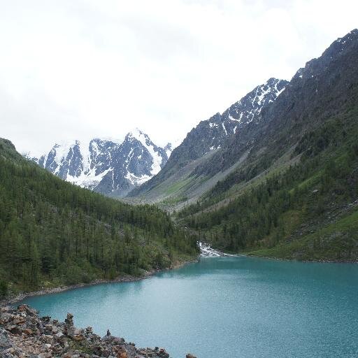 SwBigShot's profile picture. 