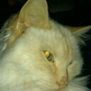 James Bartram - @james241281 - Twitter