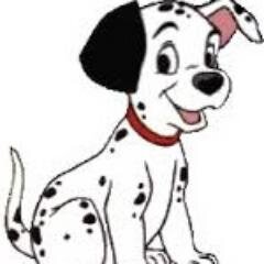 resumeonthespot's profile picture. Our Team of Resume Experts Get's the Job Done!