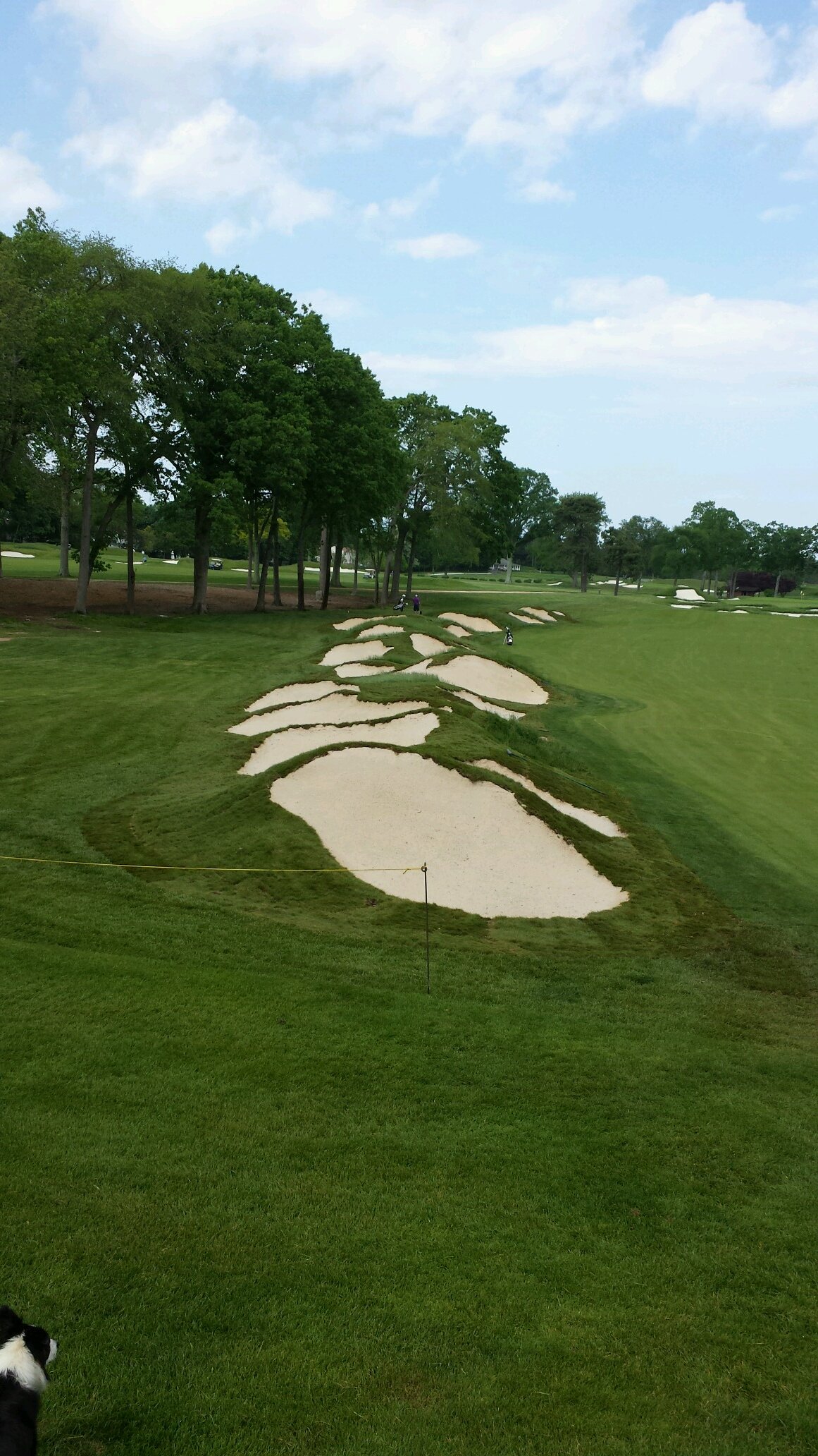 Making hay while the sun shines on the golf course at Hollywood Golf Club.