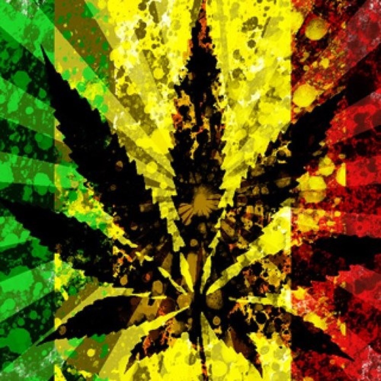420StonedNation Profile Picture