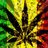 420StonedNation's profile image