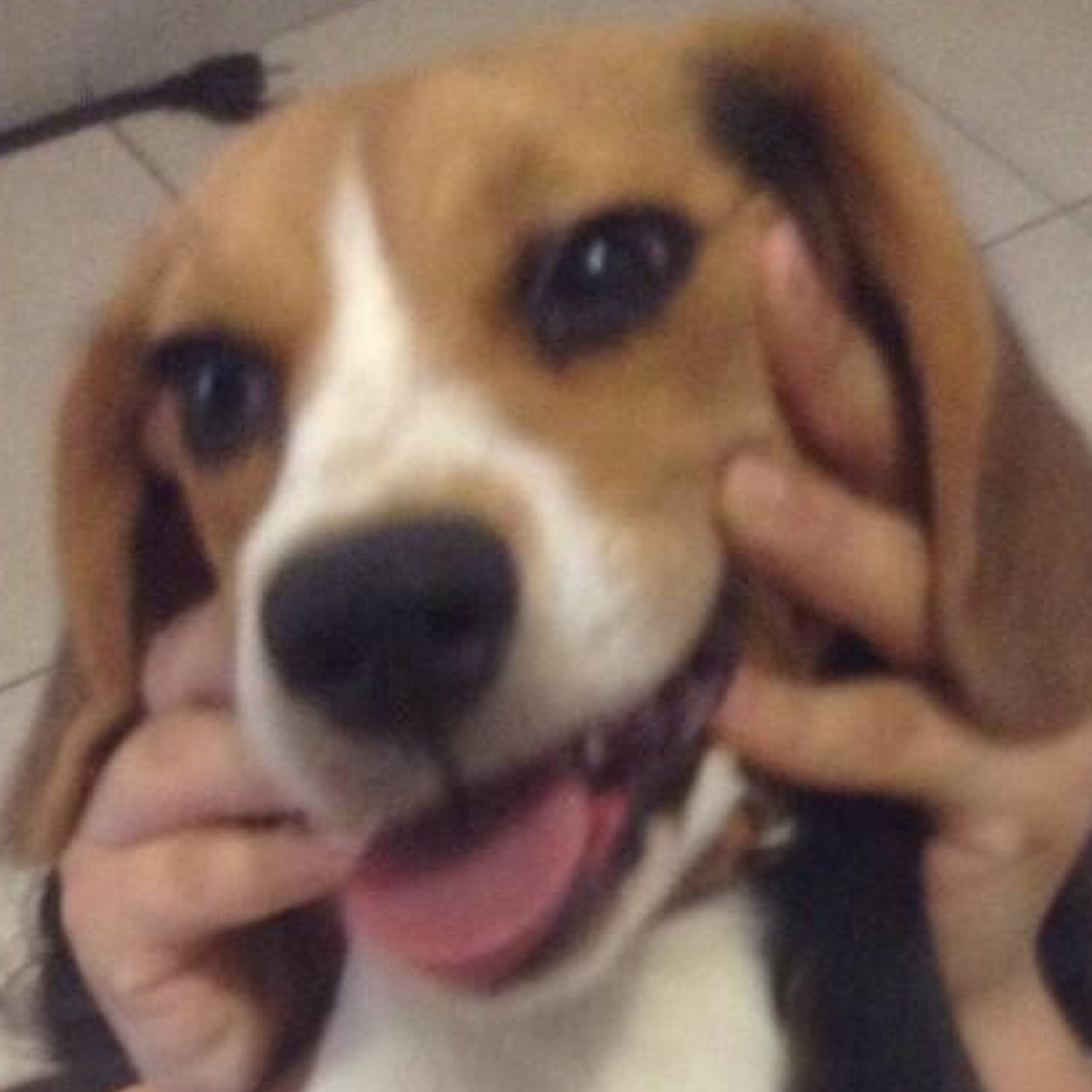 Ruwuuuurwuwuuuuur