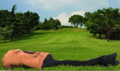 TetherGuard's profile picture. TetherGuard is a golf accessory that tethers headcovers to each other or to a bag to prevent accidental loss. It is  personalized to provide branding graphics.