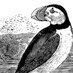 Bewick Society (@bewicksociety) Twitter profile photo Bewick Society (@bewicksociety) Twitter profile photo