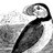 BewickSociety's profile image
