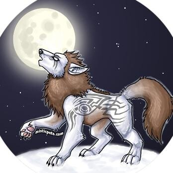 MisticPets is an online virtual community filled with fantasy pets and more! Come join now!