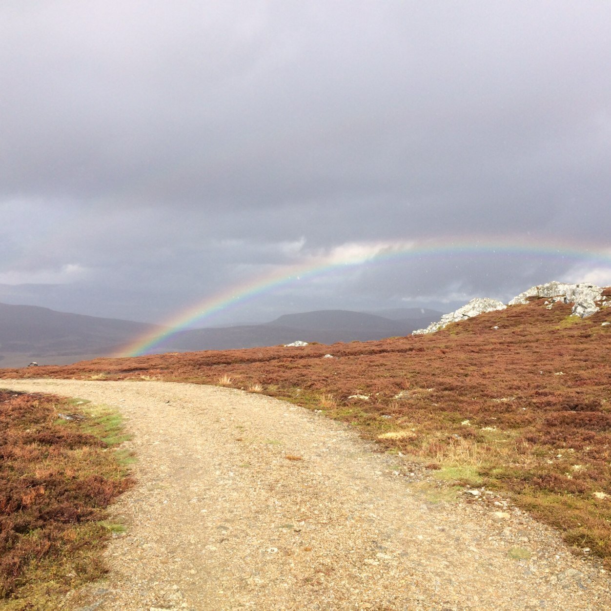 448scotty's profile picture. 