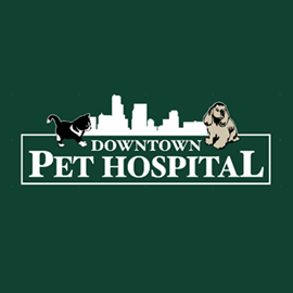 Downtown Pet Hospital is a full service veterinary hospital located in Downtown Orlando - close to College Park, Thornton Park & Winter Park! #bloggingcat
