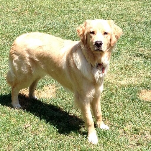 Kate_Davis18's profile picture. 