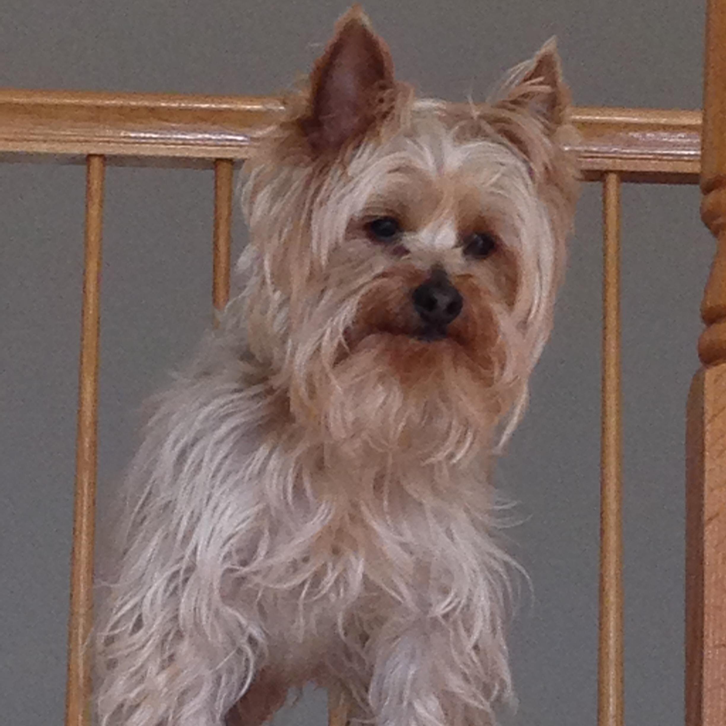 SexyAgain's profile picture. 