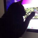 ellen shively - @olivesphone - Twitter