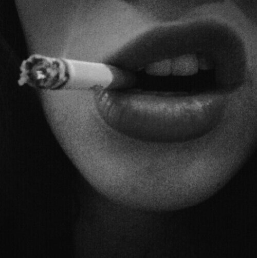 Las personas cambian, el pasado no.
-Hush, Hush.