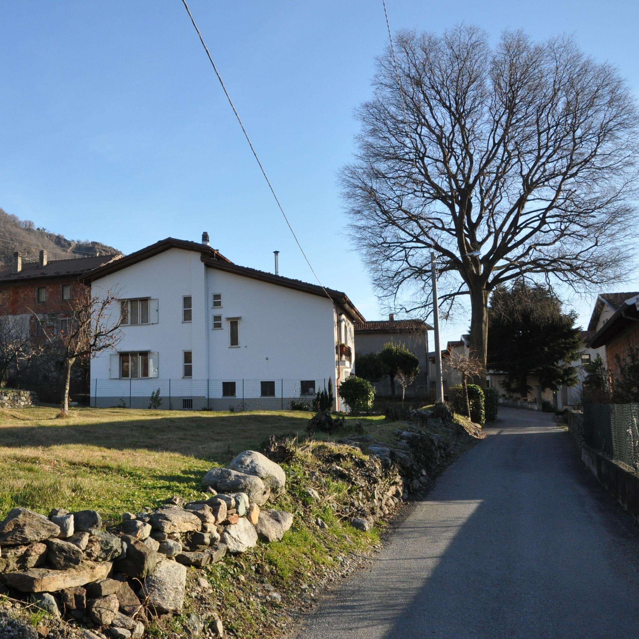 AlberoMaestroBB's profile picture. L'Albero Maestro B&B