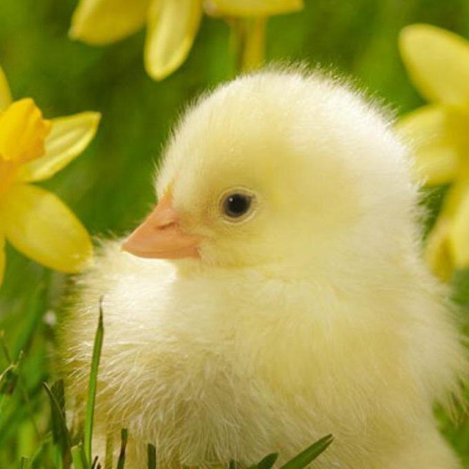 Je prêche des câlins par surprise à mes followers. Tu en veux ? Suis-moi ! Et mentionne-moi si t'en as besoin !
(Parfois bloqué par les limitations Twitter 😢)