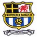 Whitchurch Blues F.C (@whitchurchblues) Twitter profile photo