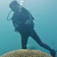 Laura HJ (@laurahfx) 's Twitter Profile