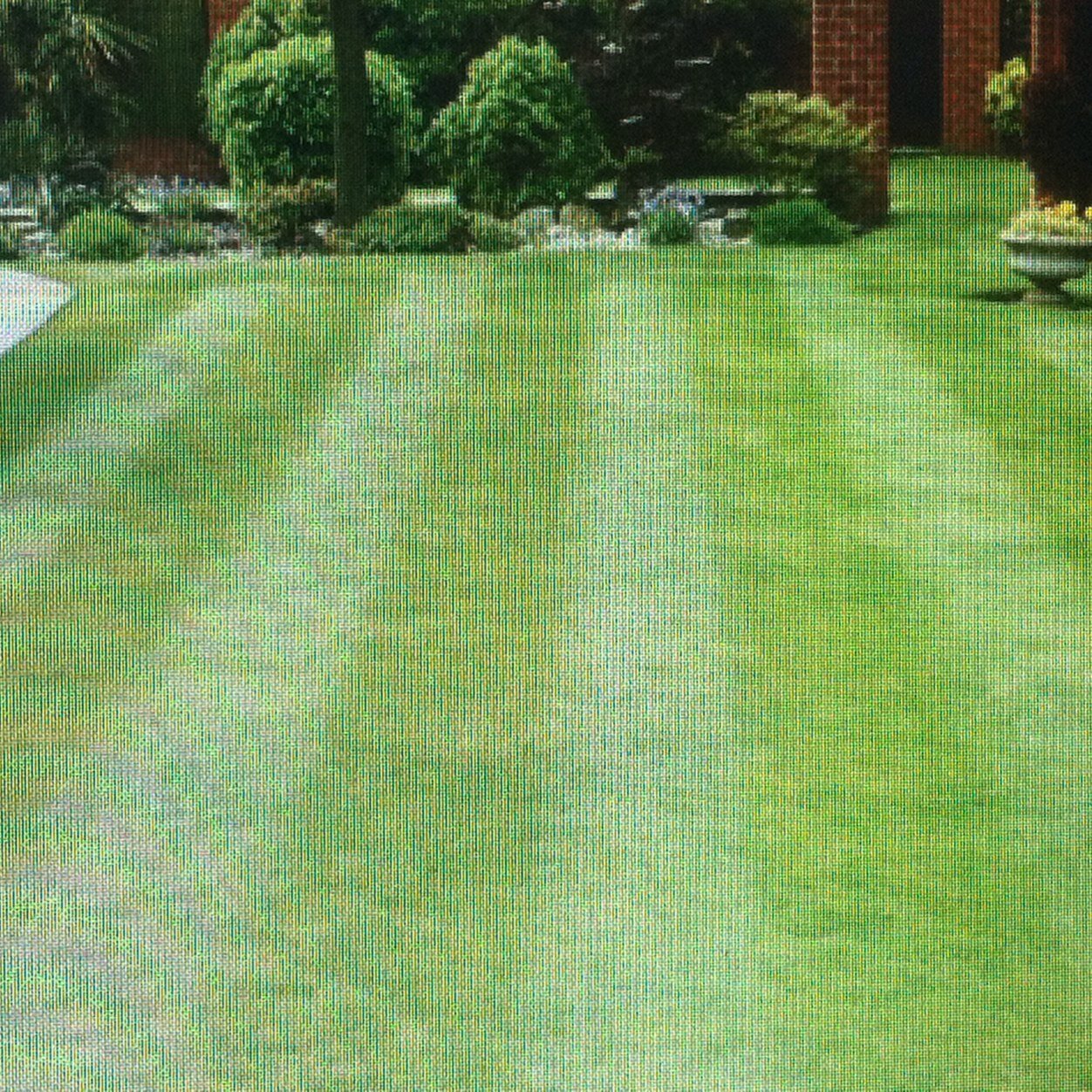 A professional garden maintenance service provided too people all over the north west. Paul - 07837186116 Pete - 07572879135