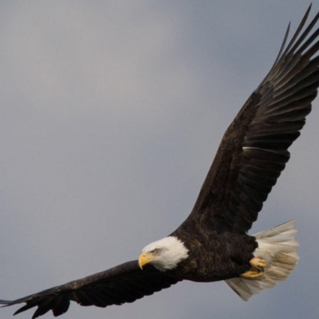 lessfiltered76's profile picture. 