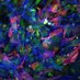 ThatCellBiologist (@thatcellbiology) Twitter profile photo