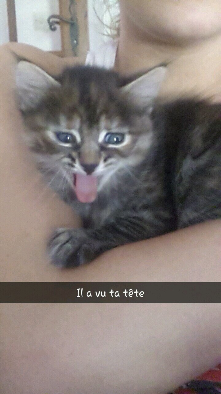 DatsWhatSheSay's profile picture. 