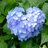 Hiroaki11xxv
