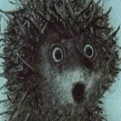 _user___name_ Profile Picture