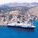 Minerva Swan - @MinervaSwan - Twitter