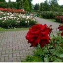soso (@09999_sara) Twitter