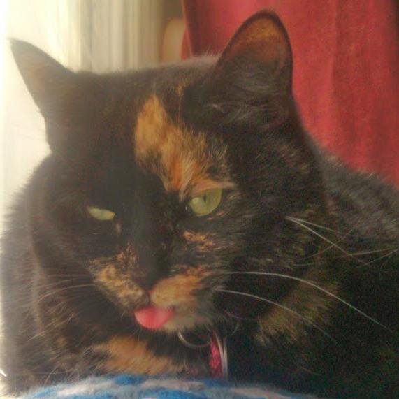 hagelabi's profile picture. Ubuntu: I am because we are.