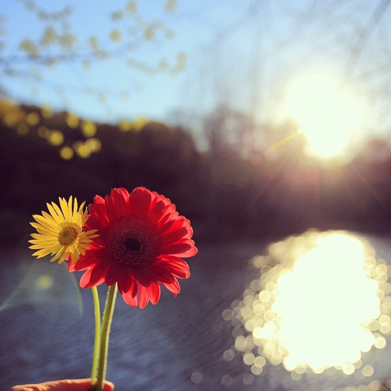 ﴿رَبِّ ارحَمهُما كَما رَبَّياني صَغيرًا﴾ ❤️