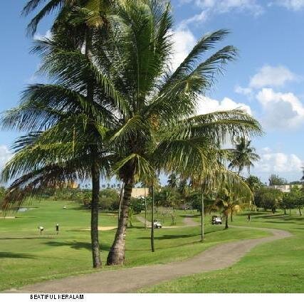 priyadarsini134's profile picture. 