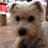 helenscotttaylo's profile image