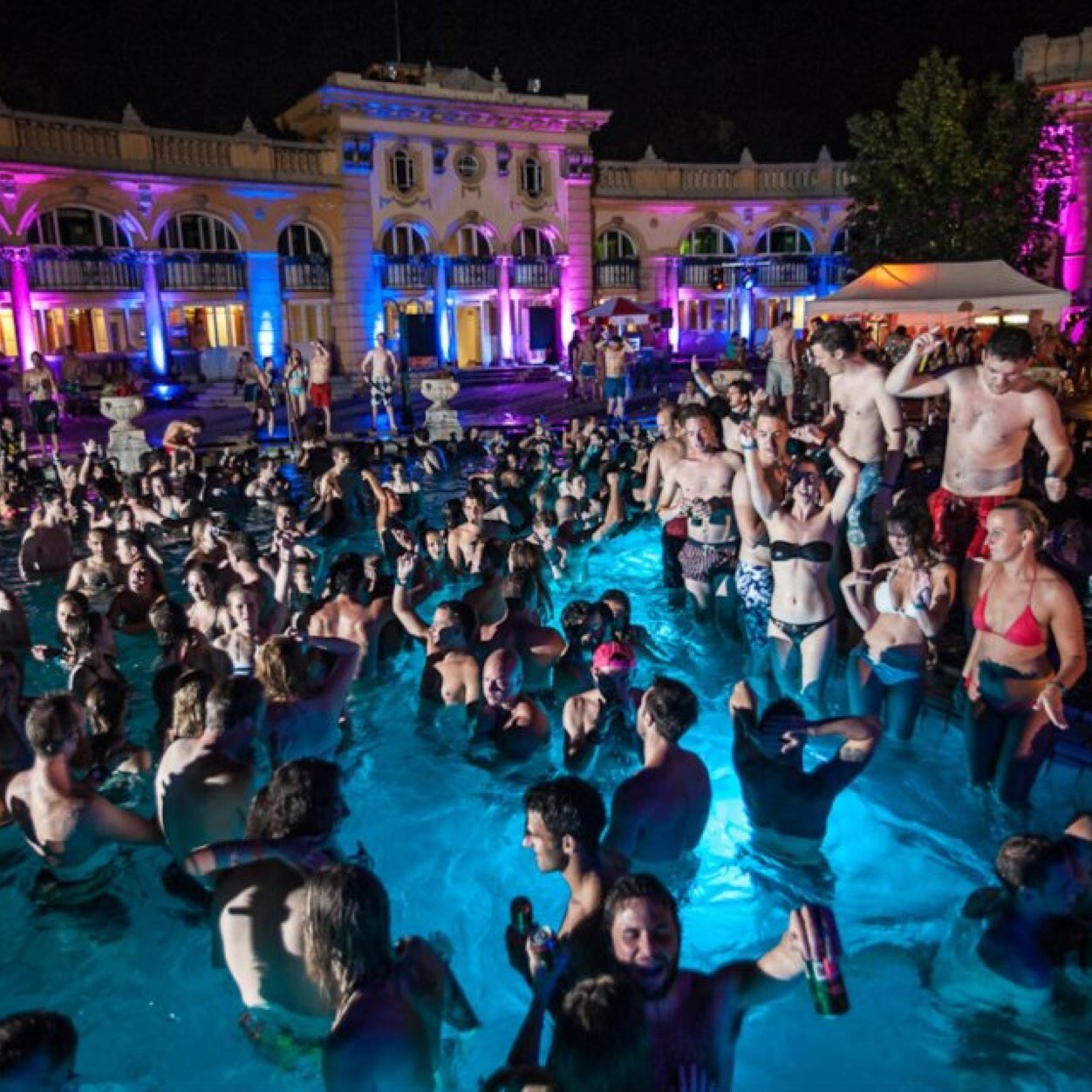 livelifeparting's profile picture. party party party.