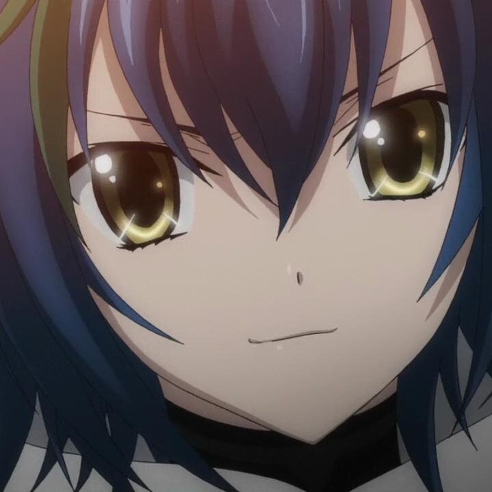 Weilder of Durandal and Knight to Rias Gremory.