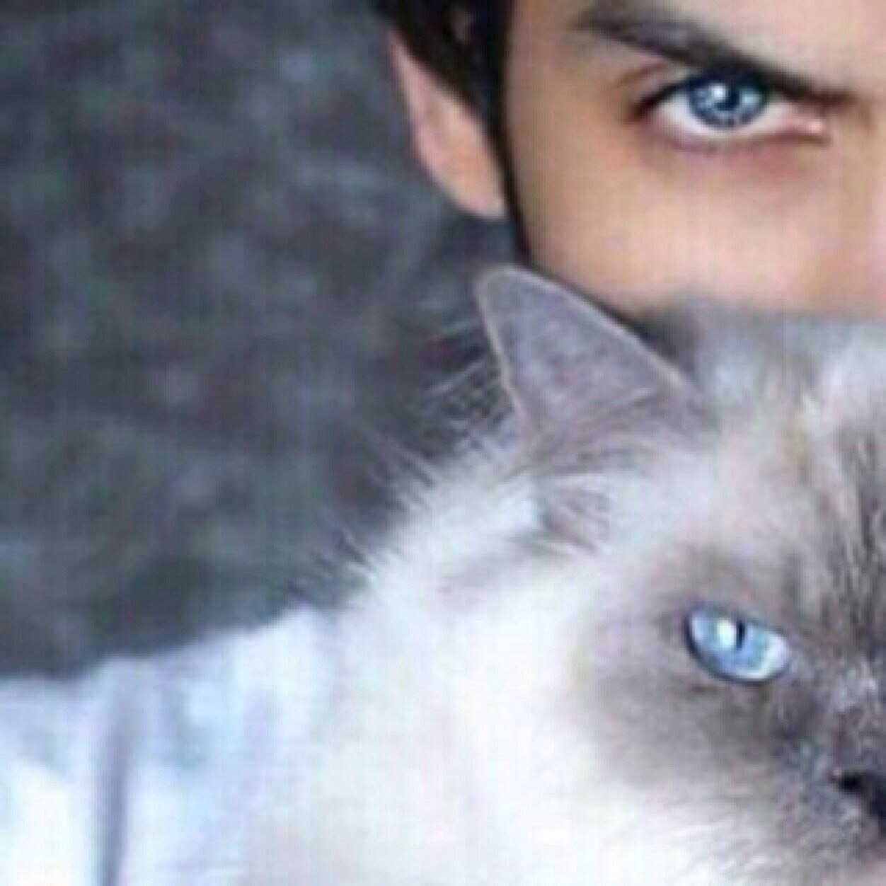لآ اهـتـم ، بمن رحل عـمـداً بل سـأدعـو له بالـعـيش سـعـيداً وكـفـى ! . . أتشرف لزيارتگ المفضلة ♡