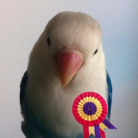 luisiete007's profile picture. Sin perfil. Siempre de frente

 https://t.co/0BBoIyhhpk