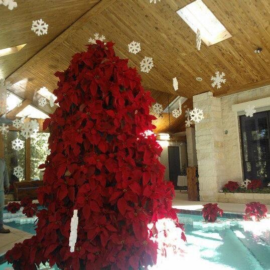 Display1401's profile picture. 