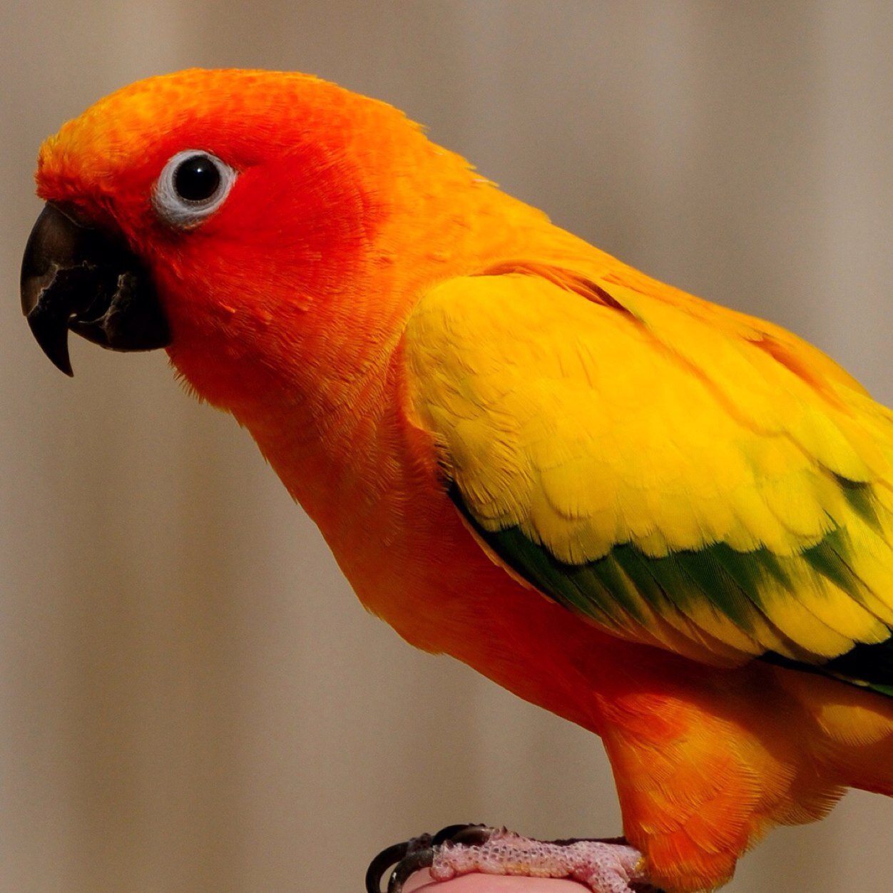 bird409's profile picture. Follow me .....i follow you back