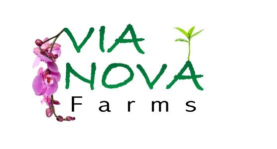 Via Nova Farms is an urban agriculture project designed to renew our relationship with food and farming based in Downtown Wilmington, NC