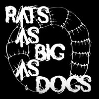 Rats As Big As Dogs (@ratsasbigasdogs) 's Twitter Profile