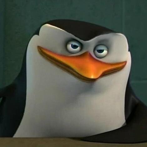 Skipper a talking penguin