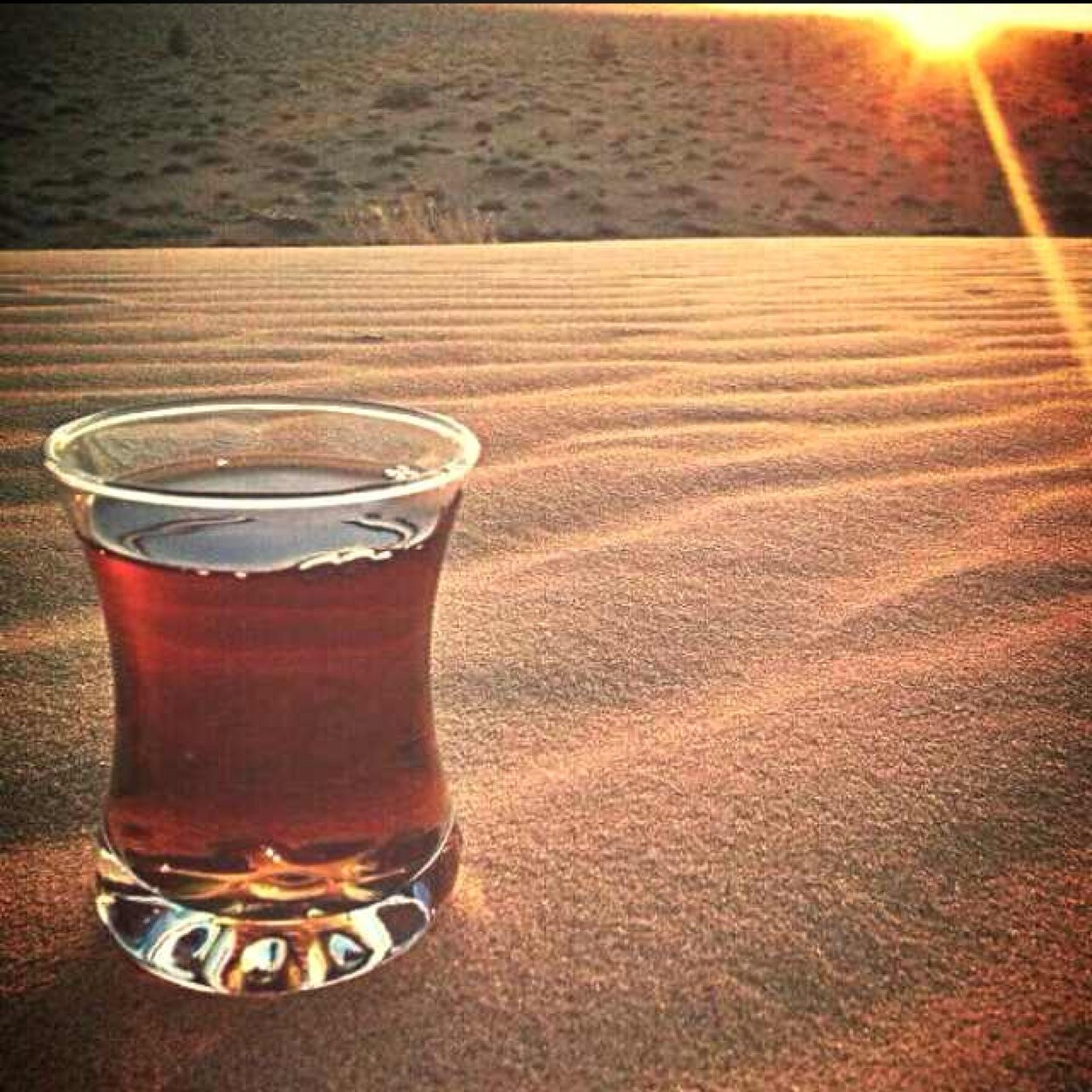 في الرياض ابو ريان