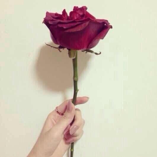 Heam_47130's profile picture. 