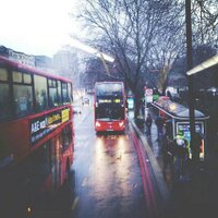 Meera Almarar (@meera701) Twitter profile photo