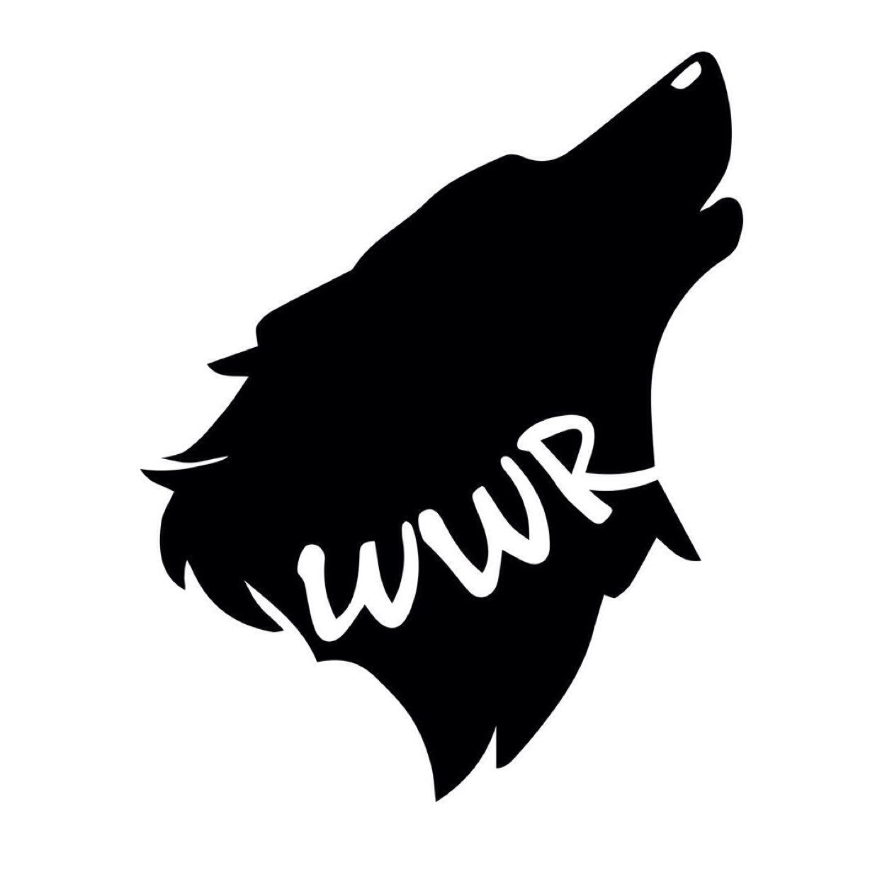 Madison hosts Wolfwizard Radio on @chrwradio Thursdays at 9am and online on the WWR blog.
Alt rock, lo-fi, synth pop, electro, punk and more.