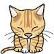 Meow meow meow meow. Meowww Meow meows mcmeows.